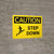 Caution: Step Down Yellow Landscape With Icon - Wall Sign