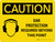 Caution: PPE Ear Protection Required Beyond this Point Landscape With Icon - Wall Sign