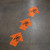 Emergency Exit Wayfinding Floor Sign Arrows