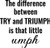 The Difference Between Try And Triumph Is That Little Umph - Wall Decor