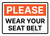 Please Wear Your Seat Belt Landscape - Wall Sign