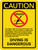 Caution: Diving Is Dangerous with Icon Portrait - Wall Sign