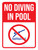 No Diving In Pool with Icon Portrait - Wall Sign