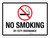 No Smoking By City Ordinance Landscape - Wall Sign
