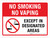 No Smoking No Vaping Except In Designated Areas with Icon Landscape - Wall Sign