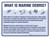 What Is Marine Debris? Landscape - Wall Sign