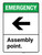 Emergency: Assembly Point with Left Arrow ANSI Portrait - Wall Sign