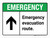 Emergency: Emergency Evacuation Route with Top Arrow ANSI Landscape - Wall Sign