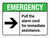 Emergency: Pull the Alarm Cord for Immediate Assistance with Right Arrow ANSI Landscape - Wall Sign