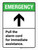Emergency: Pull the Cord For Immediate Assistance with Top Arrow ANSI Portrait - Wall Sign
