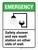 Emergency: Safety Shower and Eye Wash Station on Other Side of Wall ANSI Portrait - Wall Sign