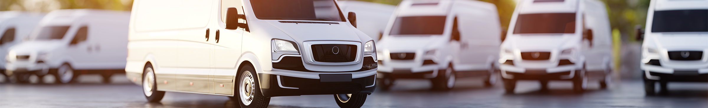 Fleet Management Supplies Fleet Management Supplies