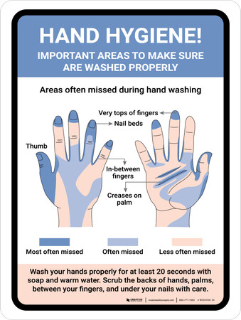 Hand Hygiene Important Areas to Wash Properly Portrait - Wall Sign
