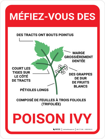 Méfiez-vous De Poison Ivy (Beware Of Poison Ivy) Portrait French