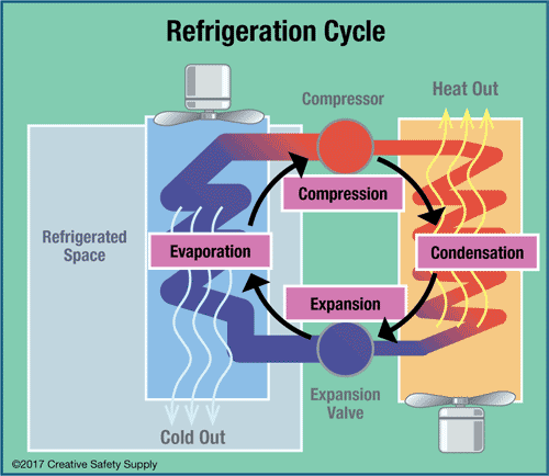 Walk In Cooler Organization Chart