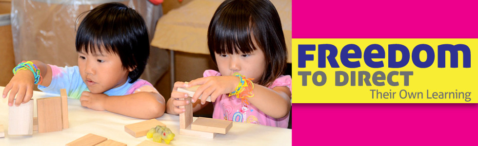 Freedom to direct their own learning