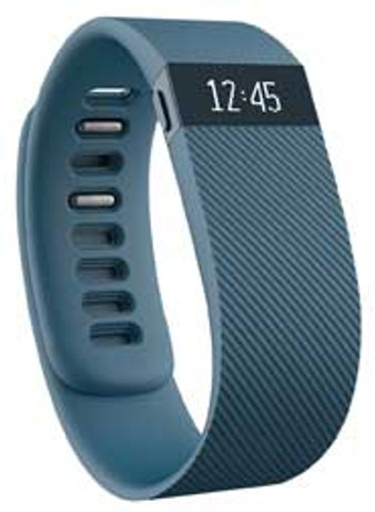 Fitbit FB404SLS