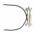 Linear C-BCK
