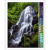 Coveris 70485