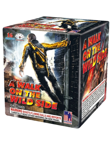 Walk On the Wild Side, A