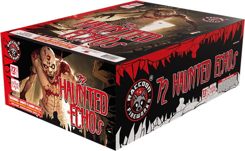 Haunted Echo