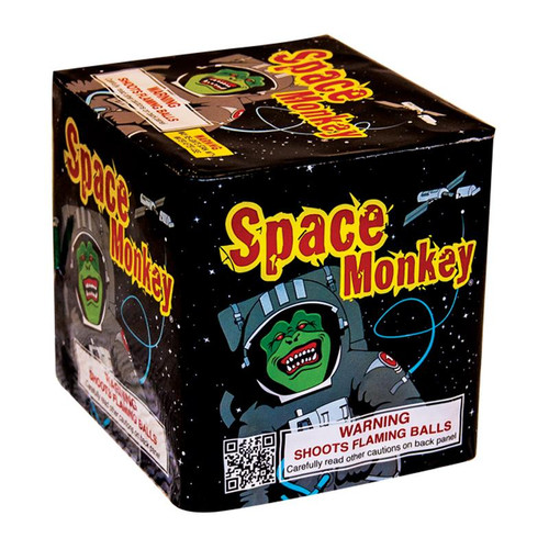 Space Monkey