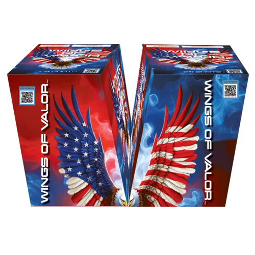Wings of Valor