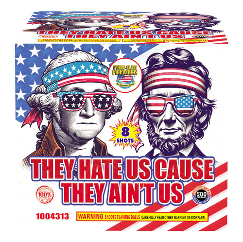 They Hate Us Cuz They Aint Us image