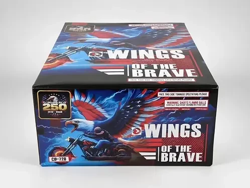 Wings of the Brave image