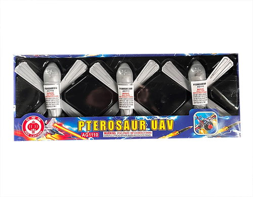 Pterosaur UAV