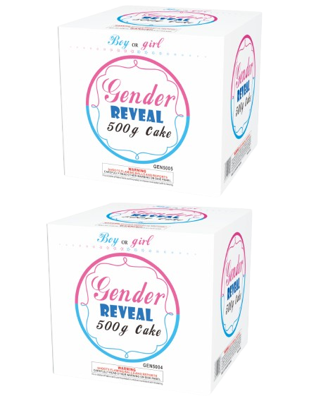 Gender Reveal Cake -Girl