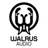 Walrus