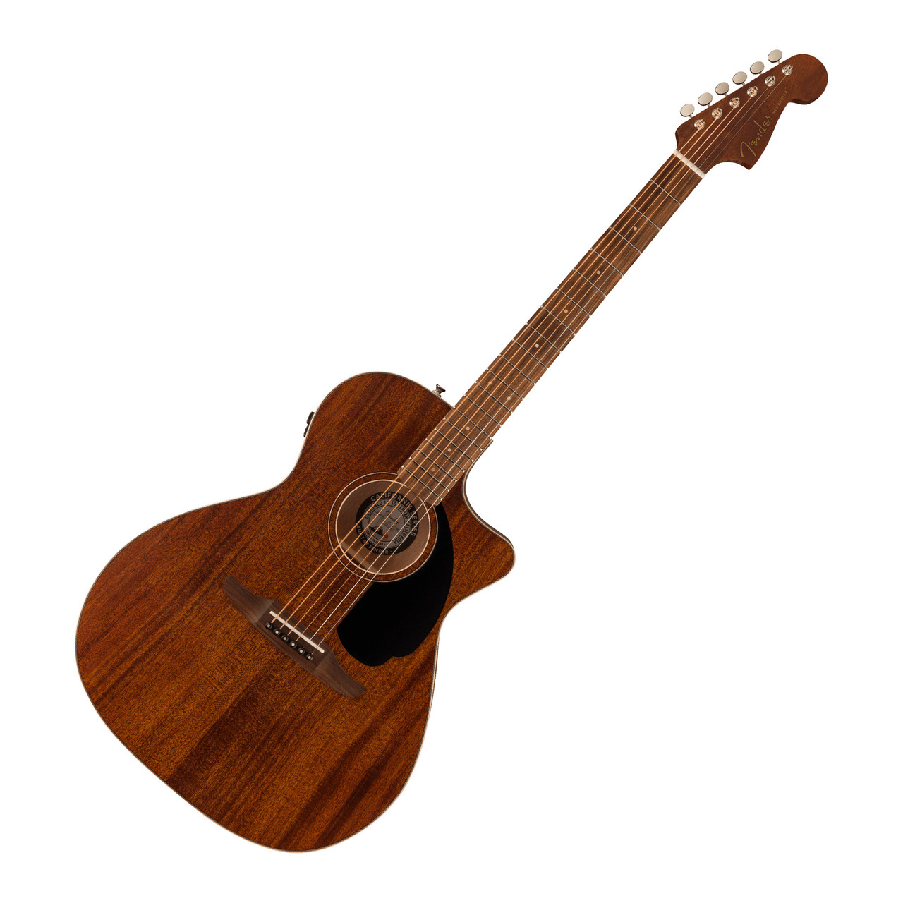 Fender Newporter Special Acoustic-Electric Guitar - Ted