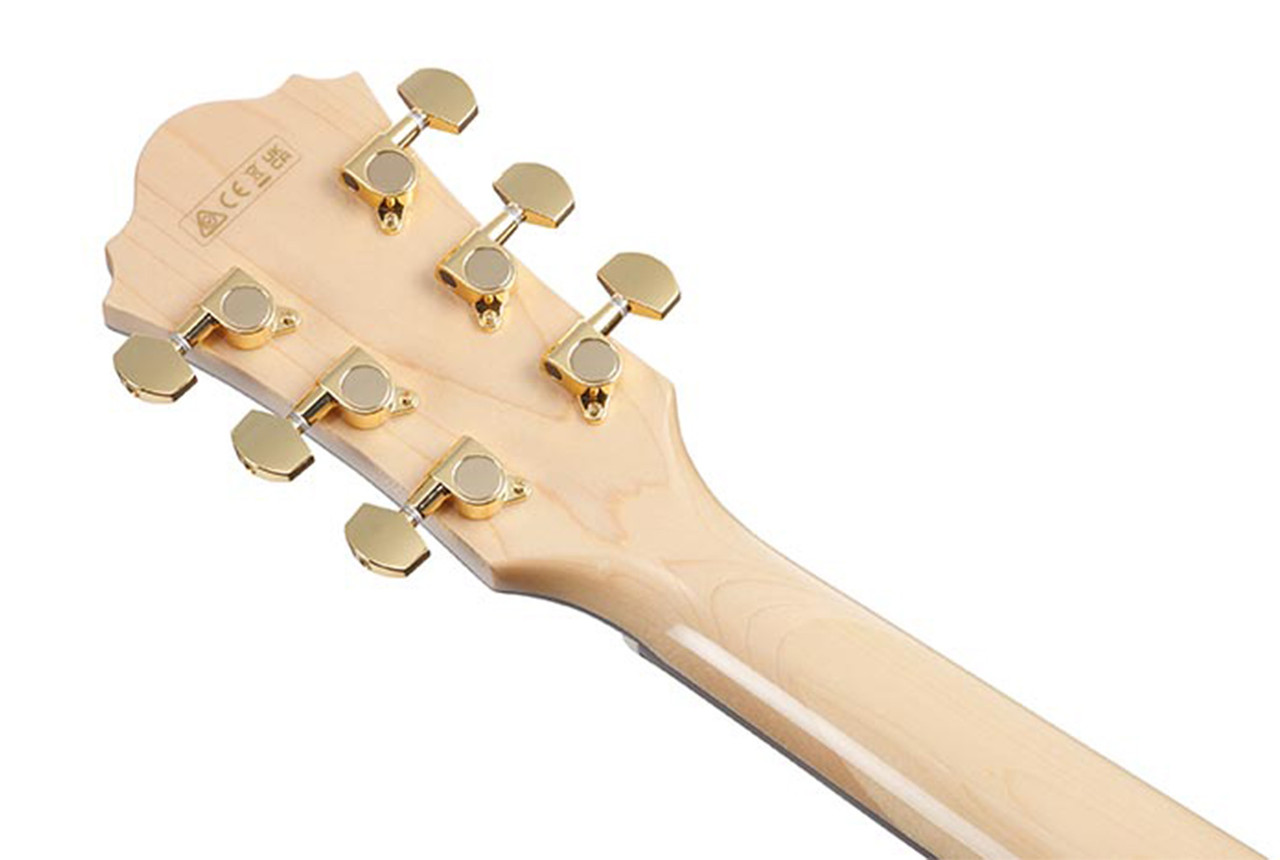 Ibanez AE390 Acoustic-Electric Guitar - Ted Brown Music Company