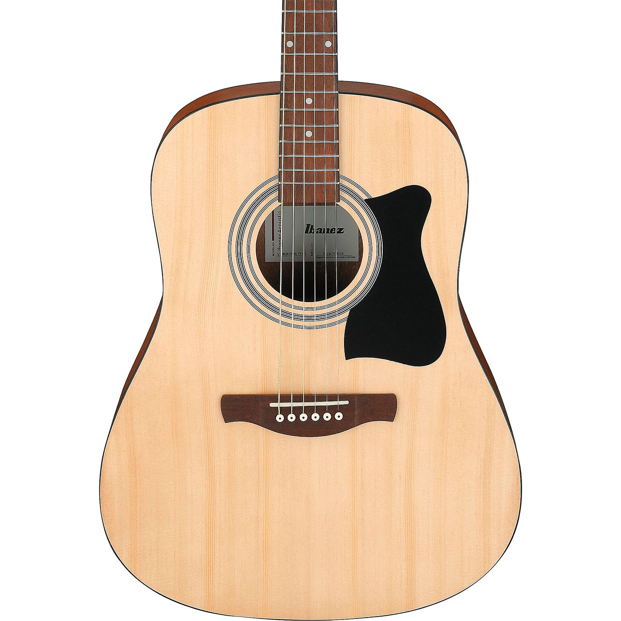Ibanez IJV50 Quick Start JamPack Dreadnought Acoustic Guitar Pack