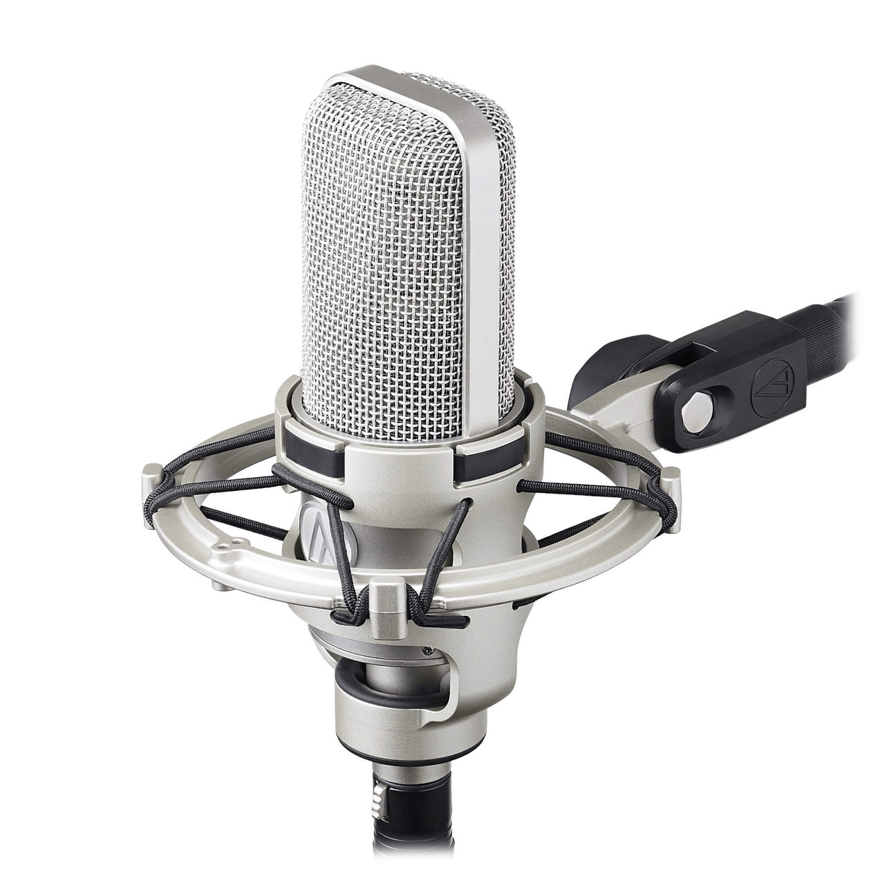 Audio Technica AT4047/SV Cardioid Condenser Microphone - Ted Brown