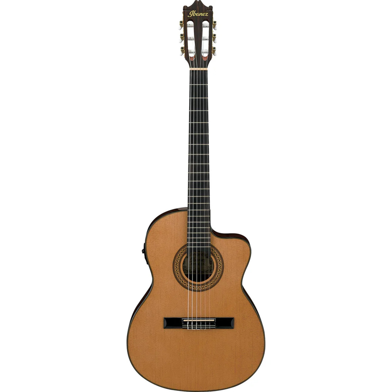 Ibanez GA5TCE Classical Thin Body Acoustic-Electric Guitar - Ted