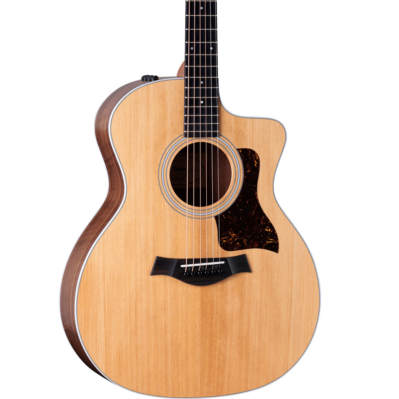 Taylor 214ce Grand Auditorium Acoustic/Electric Guitar - Ted