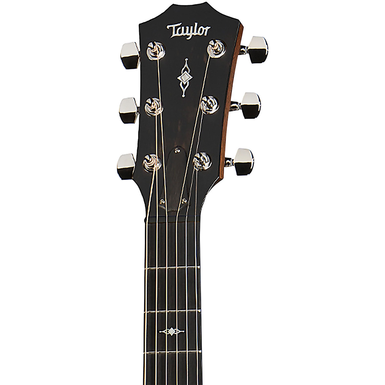 Taylor 312ce Grand Concert Acoustic/Electric Guitar - Ted Brown