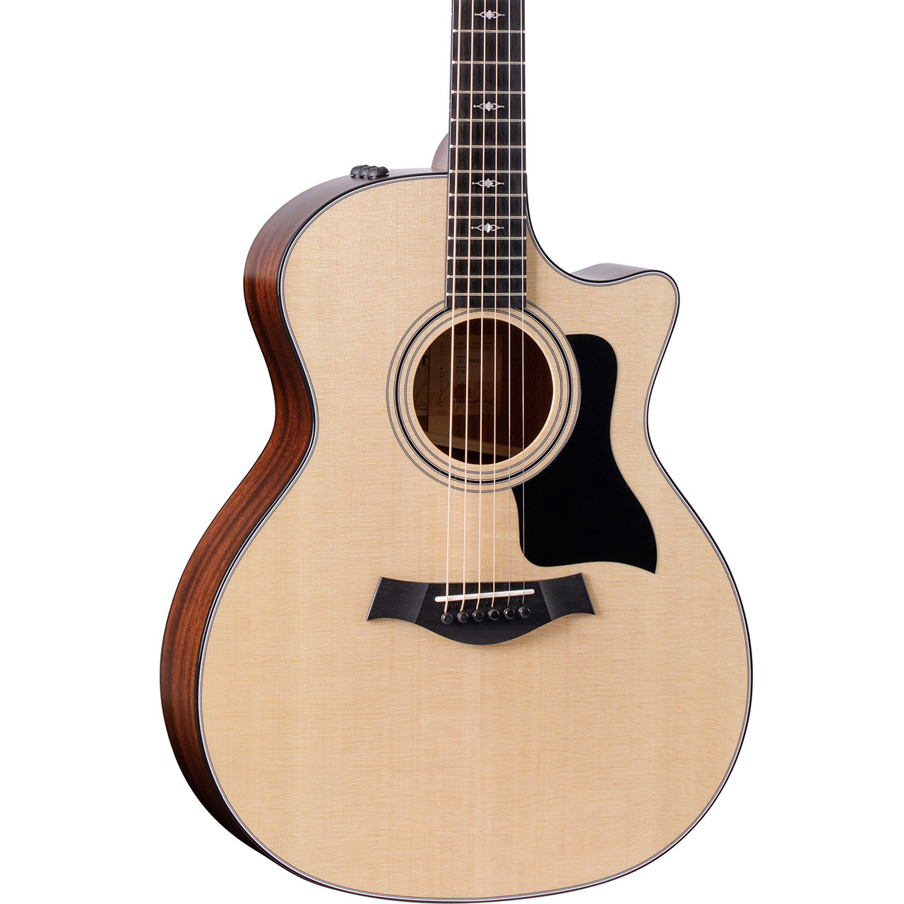 Taylor 314ce Grand Auditorium Acoustic/Electric Guitar - Ted