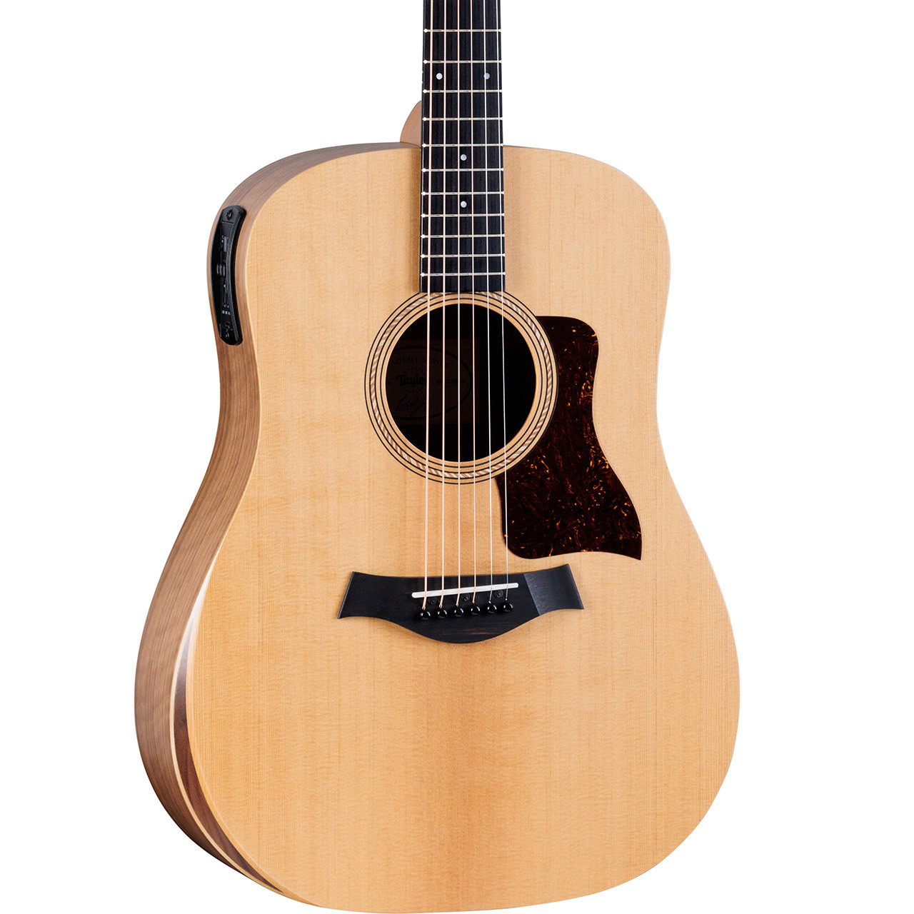 Taylor Academy Series A10e Acoustic/Electric Guitar - Ted Brown