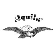 Aquila