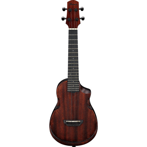 Ibanez AUP10N 6-String Concert Ukulele - Ted Brown Music Company
