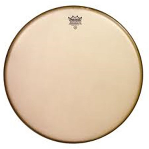Remo Hand Drum Fixed Head - Ted Brown Music Company