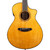 Breedlove Performer Pro Concert Acoustic-Electric Guitar