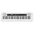 Casio CT-S200WE Portable 61-Key Keyboard - White