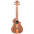 Kala KA-TK-C-CE Teak Tri-Top Concert Ukulele with cutaway body, natural teak wood finish, four strings, and built-in electronics on the side.