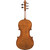 Back view of a viola with a glossy amber-brown finish, showing a two-piece figured wood grain with a center seam, a slender neck, and 5 dark tuning pegs against a plain white background.
