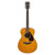 Full-length front view of a Yamaha FS800J concert acoustic guitar featuring a tinted solid spruce top, rosewood fretboard, and a tortoiseshell pattern pickguard against a white background.