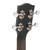 Gold Tone BU-1 Acoustic-electric Concert-scale Banjo Ukulele - Vintage Brown Satin